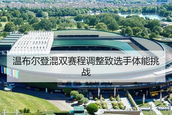 wen-bu-er-deng-hun-shuang-sai-cheng-tiao-zheng-zhi-xuan-shou-ti-neng-tiao-zhan-1-731.jpg